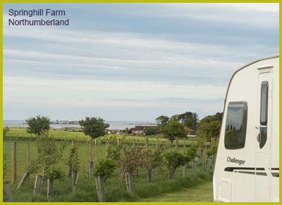 Springhill Farm Campsite - Northumberland Caravan Site