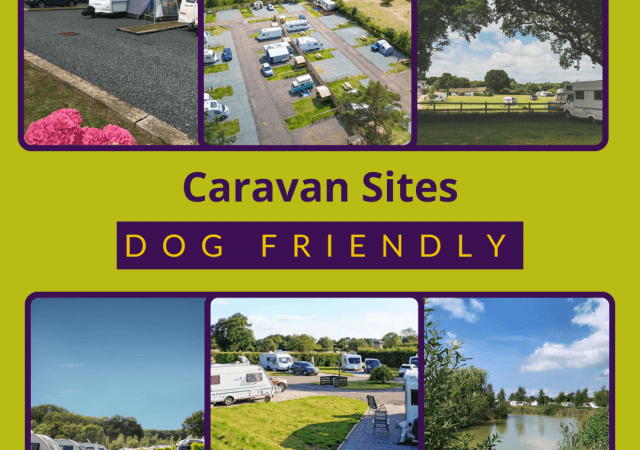 Dog Friendly Caravan Sites