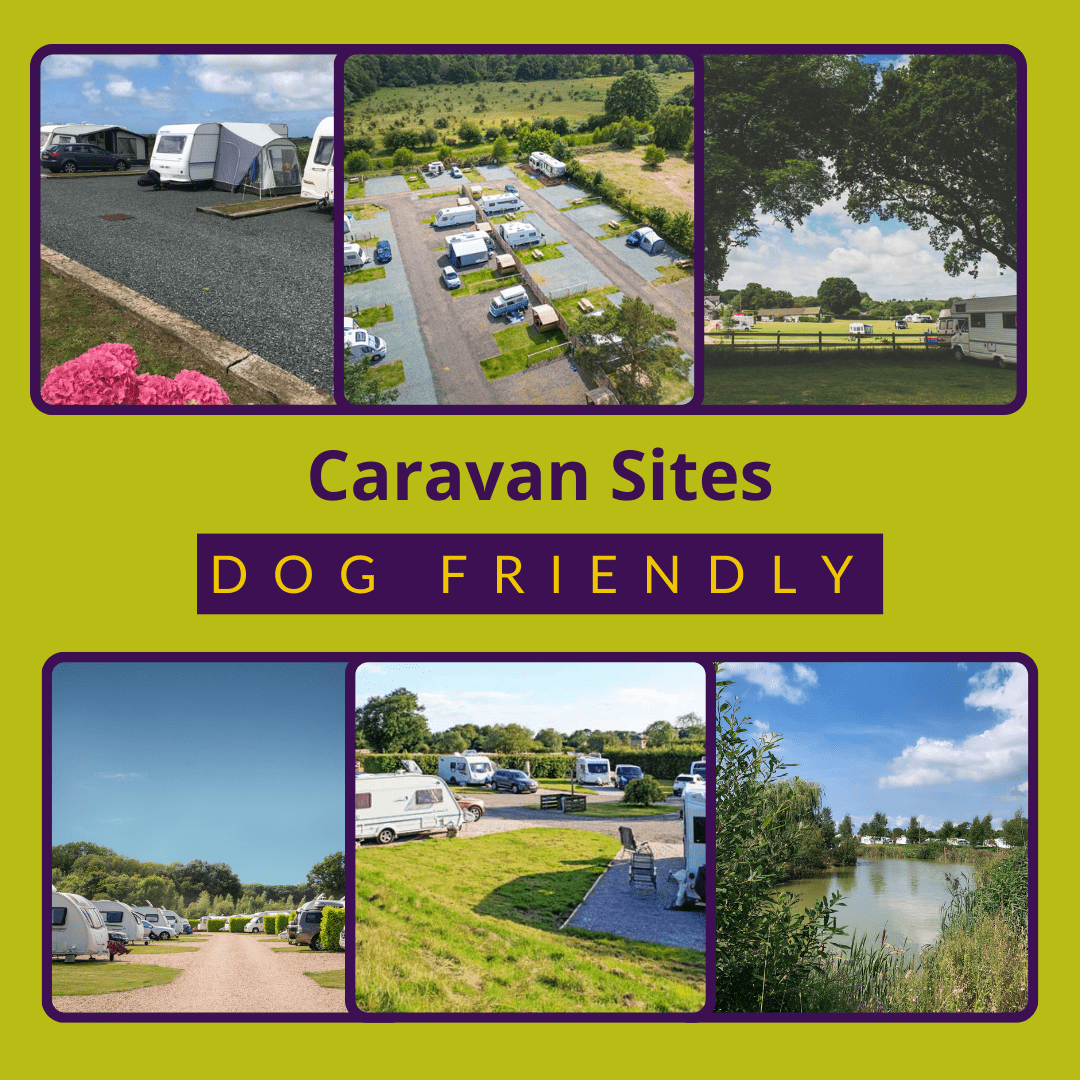 Dog Friendly Caravan Sites CaSSOA